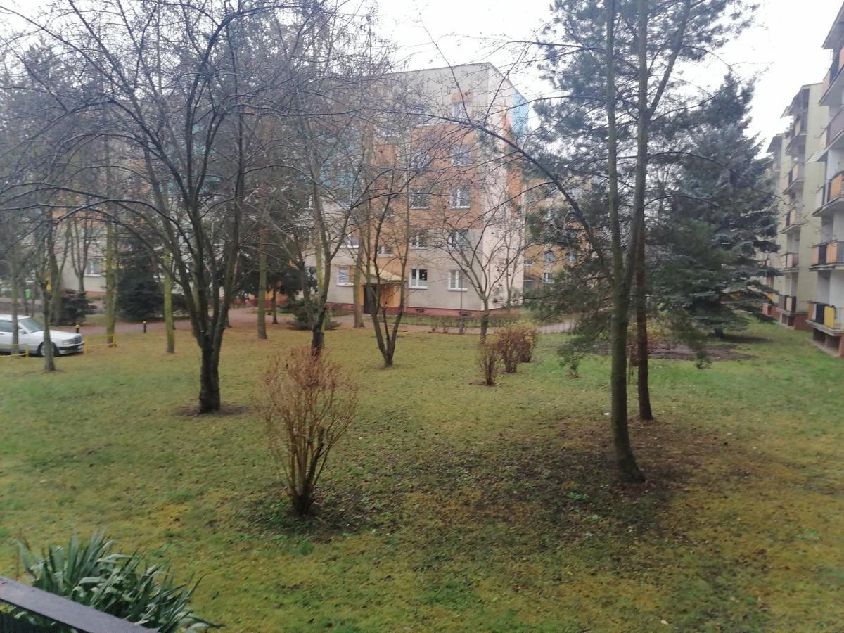 Apartament Terebelska P Бяла-Подляска Экстерьер фото